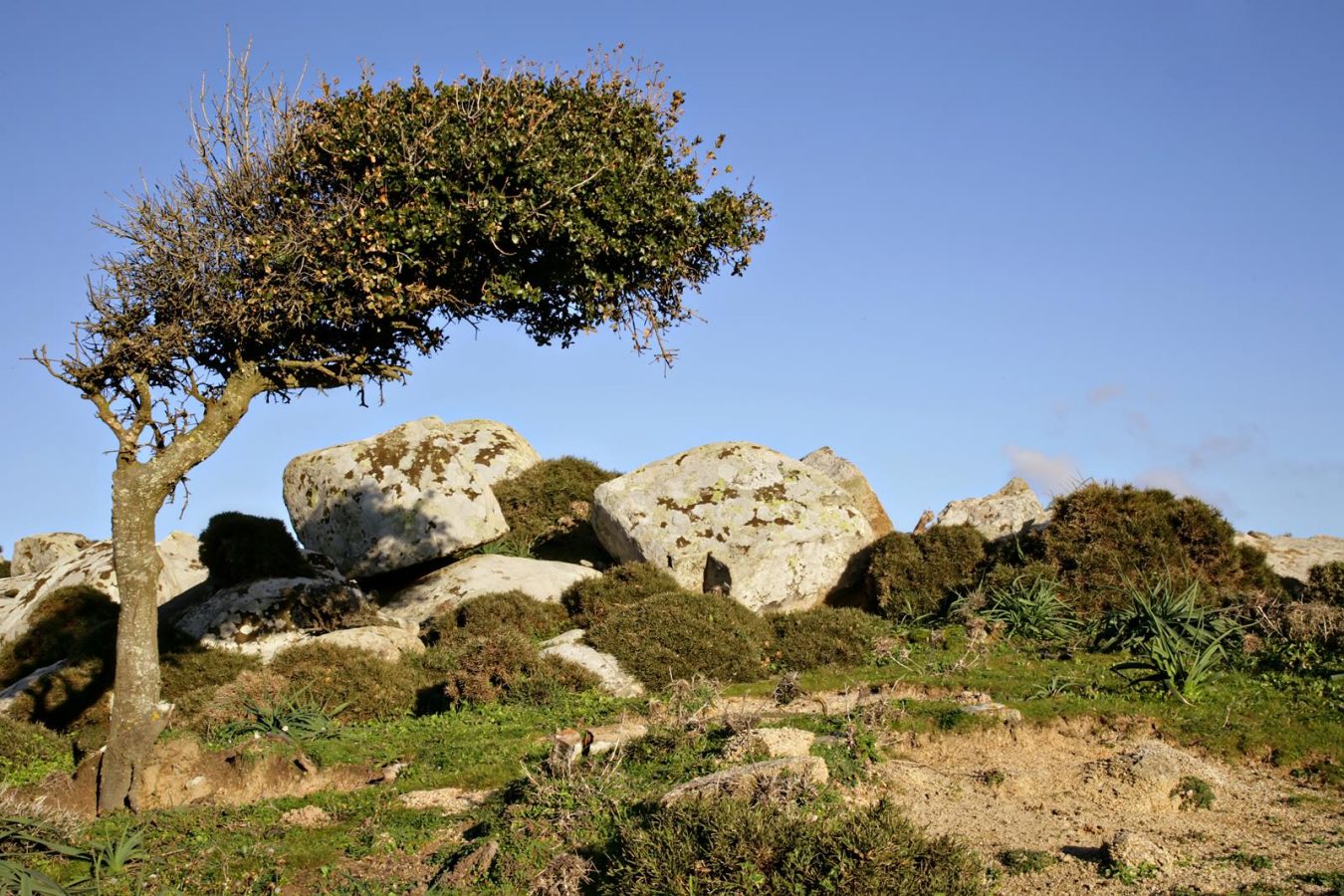 Luxury stay in Tinos - Tinos E-Houses